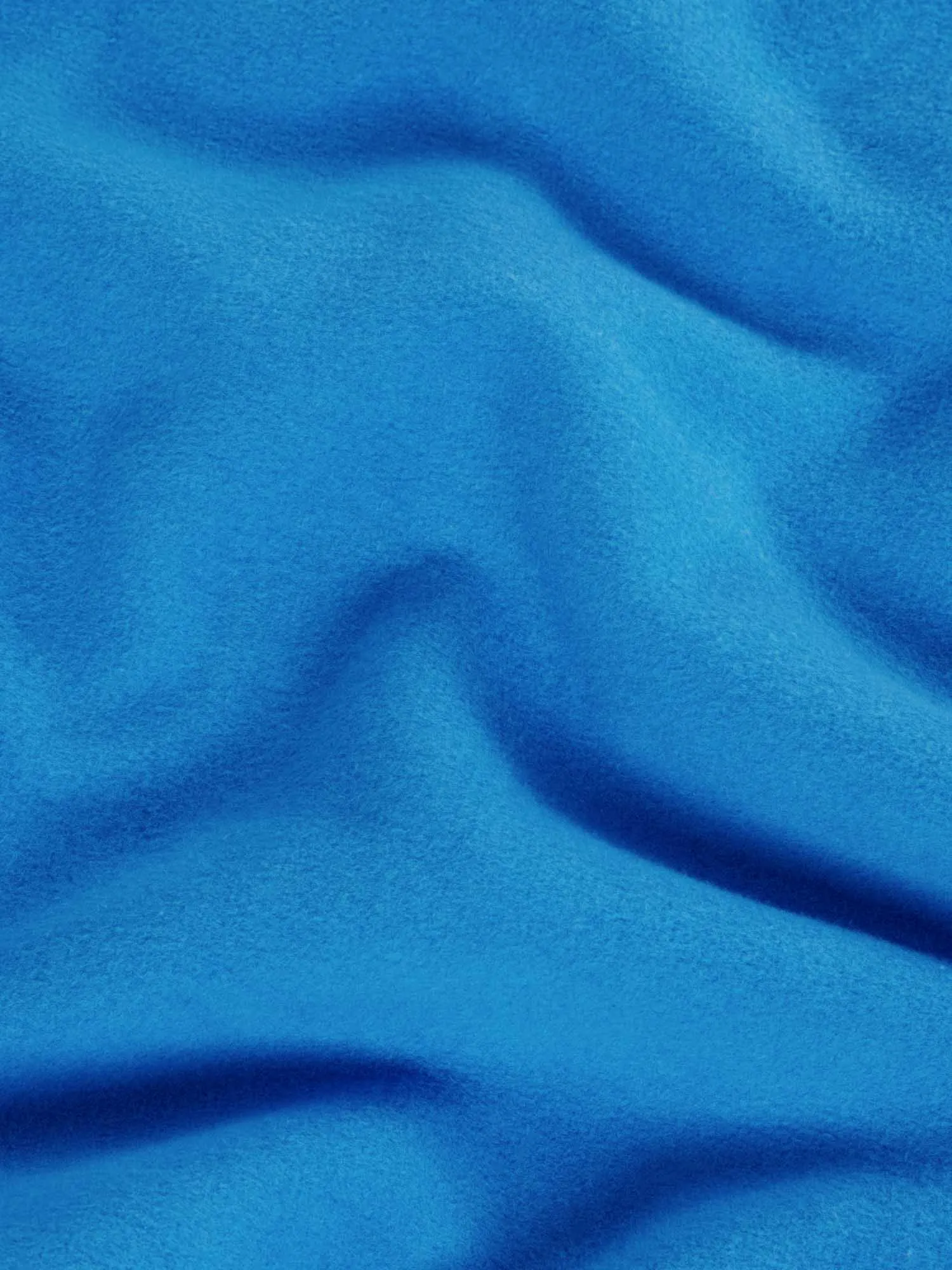 Signature Sweatshirt - Bright Tones—cerulean blue