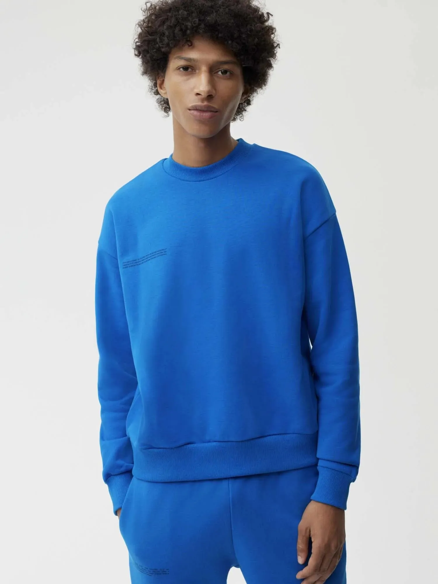 Signature Sweatshirt - Bright Tones—cobalt blue